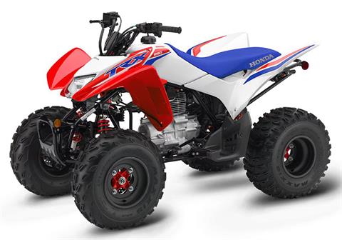 TRX250TE1A (VIN# 1HFTE540-SJ100001 To 1HFTE540-SJ199999)