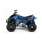RAPTOR 80 (YFM80RW)