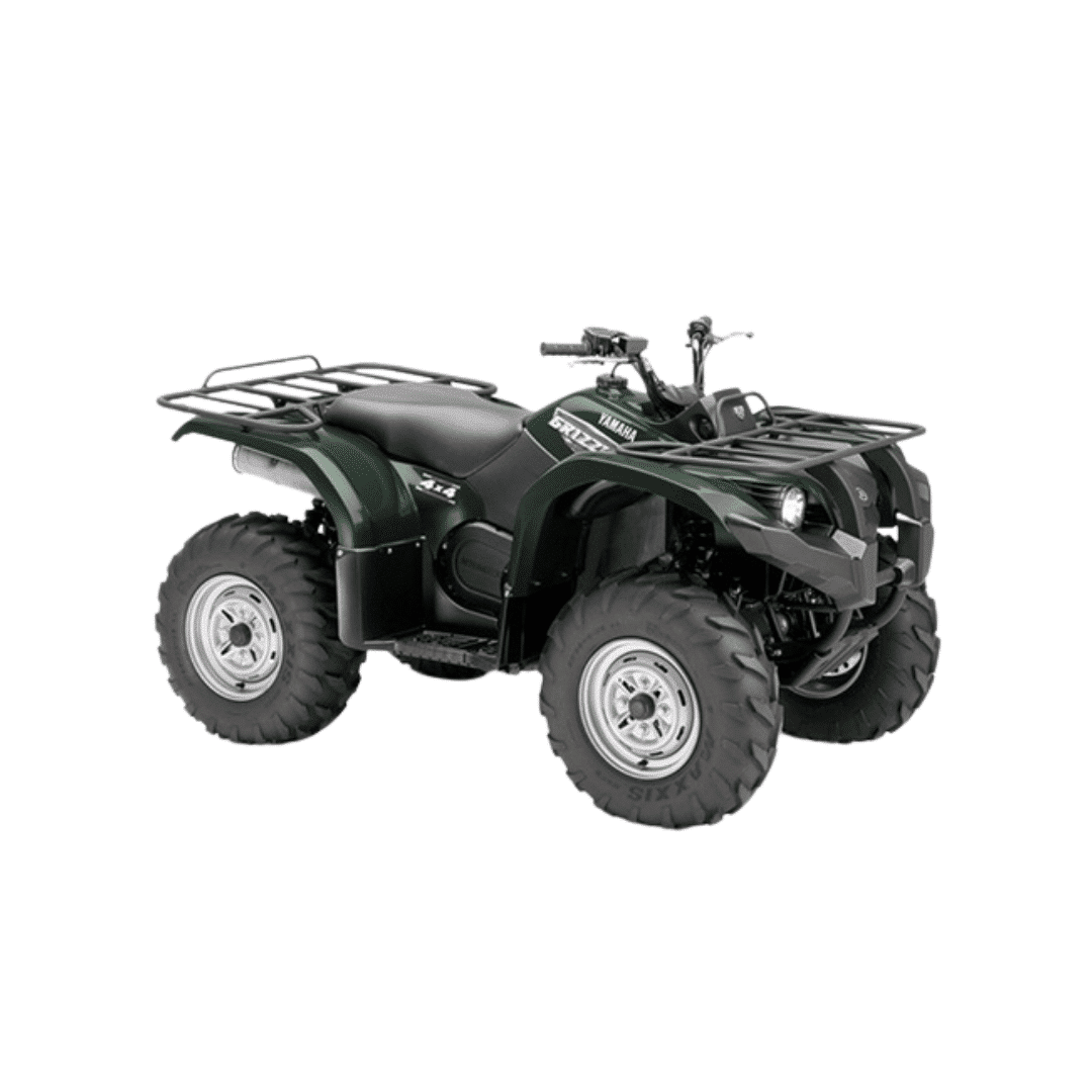 GRIZZLY 400 (YFM4FGW)