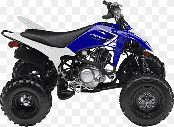 RAPTOR 125 (YFM125RBL/YFM125RBW)