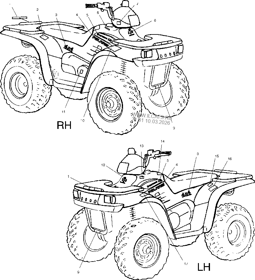 SPORTSMAN 335 (A00CH33AE)