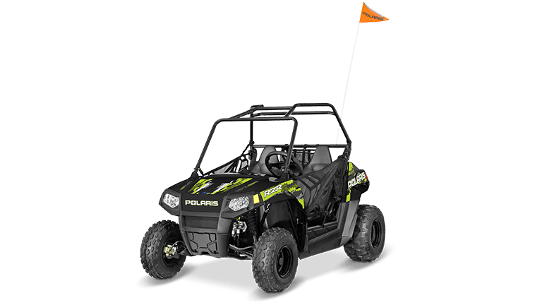 RZR 170 (A10VA17AA/AD)
