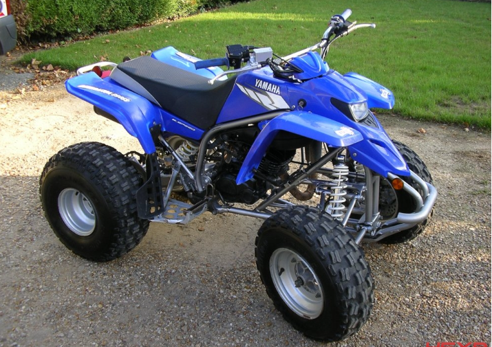 BLASTER (YFS200T)