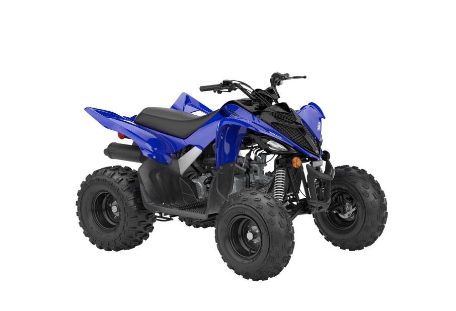 RAPTOR 110 (YFM01RYXSL)