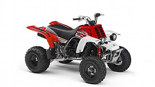BANSHEE (YFZ350S)