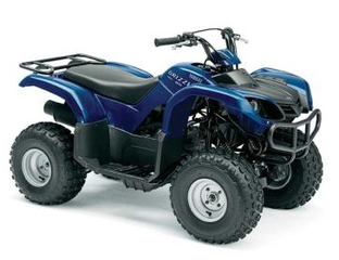 GRIZZLY 80 (YFM80GT)