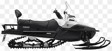 RS VIKING PROFESSIONAL (VK10EG)