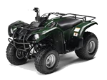 GRIZZLY 125 (YFM125GBL)
