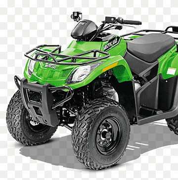 ATV 300 (4X4 GREEN) [A2003ATF4AUSG-2003-138]