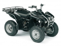 WOLVERINE 4WD (YFM350FXR)