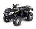 THUNDERCAT EFI 4X4 AUTO FIS SE SILVER [A2009IEW4EUSL]