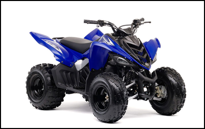 RAPTOR 90 (YFM90RDW/YFM90RDL)