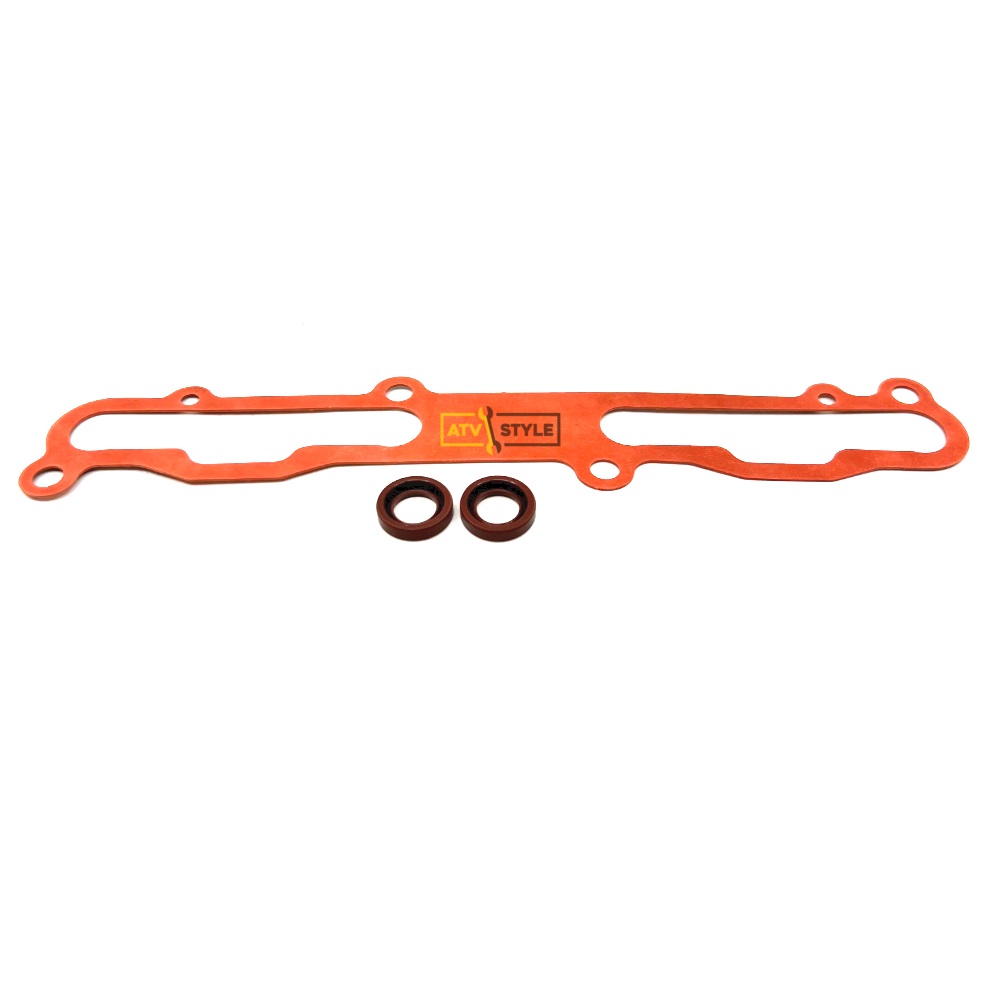 Комплект прокладок RAVE клапана SPI для Ski Doo SM-09538E