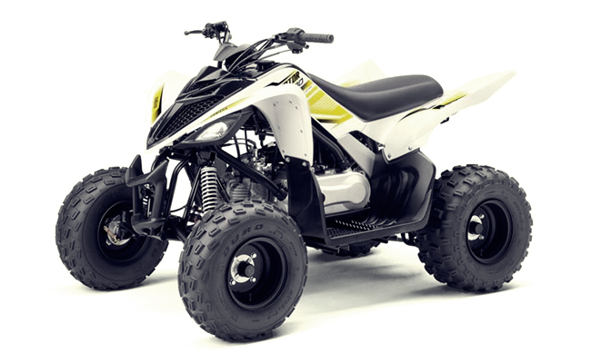 RAPTOR 90 (YFM09RYXJW/YFM09RYXJL)