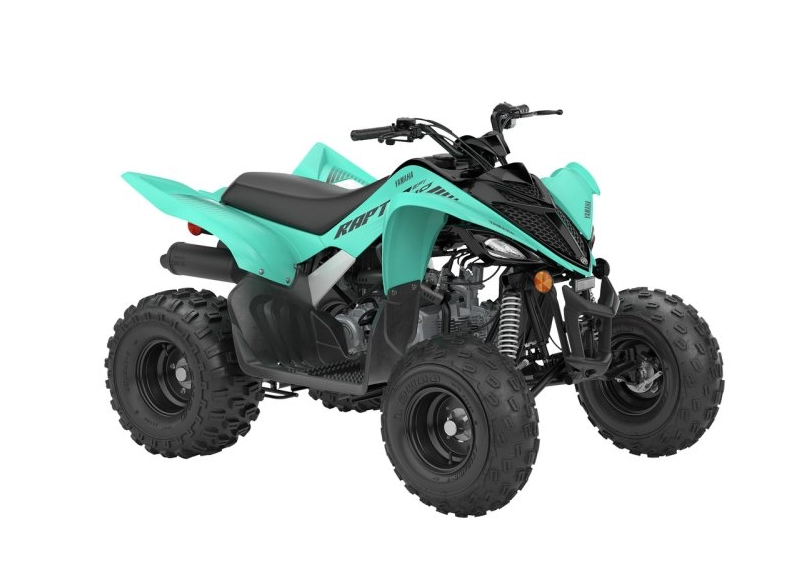 RAPTOR 110 (YFM01RYXSG)