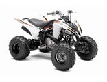 RAPTOR 250 (YFM25RZW)