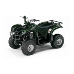 GRIZZLY 80 (YFM80GW)