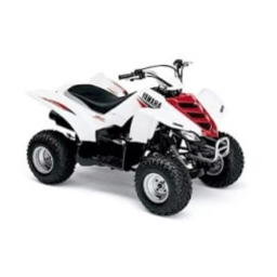 RAPTOR 50 (YFM50RW)