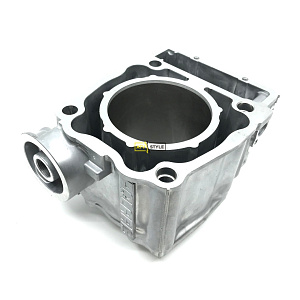 Цилиндр Polaris 3090293