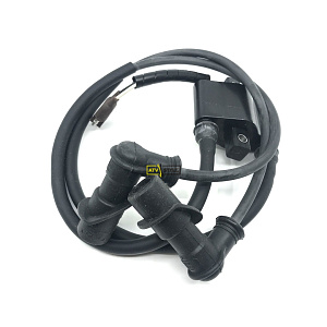 Катушка зажигания Polaris 4010898