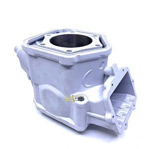 Цилиндр Ski Doo 600HO E-TEC (2009-2019) SM-09602 ( 420623263 )