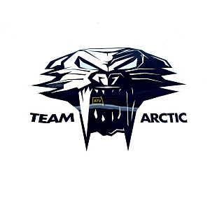 Наклейка "TEAM ARCTIC" 5239-728
