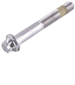 Болт М6х45 420641198