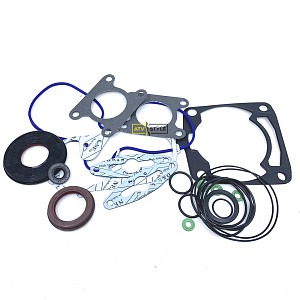 Полный комплект прокладок Polaris 600 SM-09531F