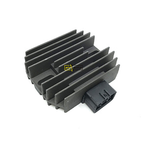 Реле-регулятор Electrosport ESR444