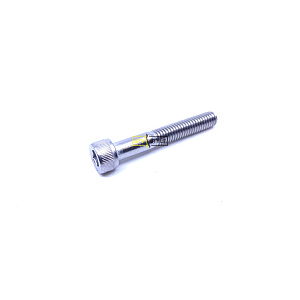 Болт M6X1.0X40 Indian 7520025