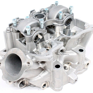 ГБЦ Can Am DS 450  420623470