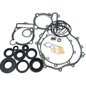 Комплект прокладок с сальниками Quadboss 350 Bruin, Wolverine 350 56-4069