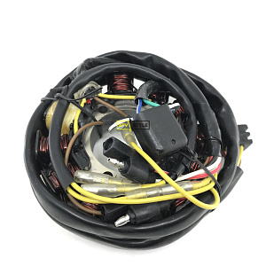 Статор генератора Electrosport ESG241