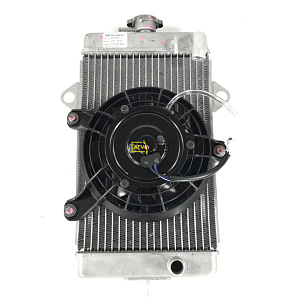 Радиатор Yamaha Raptor 700 1PE-WE246-00-00