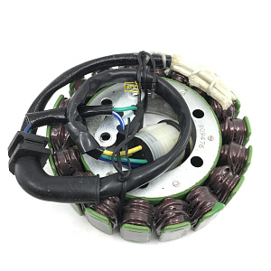 Статор генератора Electrosport ESG476