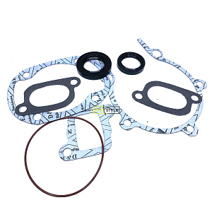 Комплект прокладок полный  Ski Doo 300F 09-711195