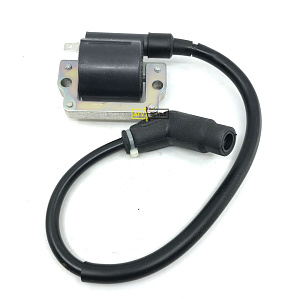 Катушка зажигания Can Am 420265358