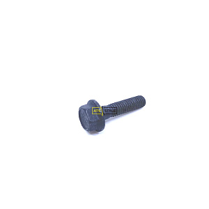 Болт M6 X 25 BRP 250000945