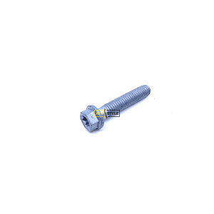 Болт М6х30 Can Am 420440647