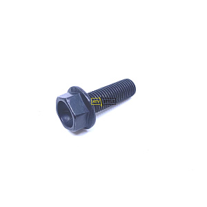 Болт M10X1.25X30 10.9 Indian 7520366