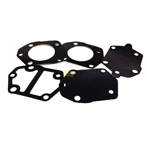 Ремкомплект топливного насоса Skipper для Yamaha 15-115 SK648-24434-01-00