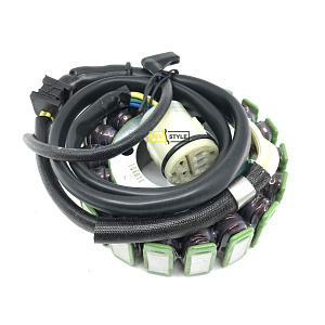 Статор генератора Electrosport ESG960