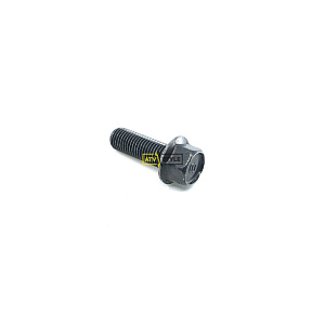 Болт Yamaha 95817-10030-00