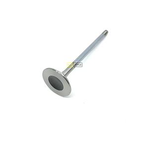 Выпускной клапан 420253171
