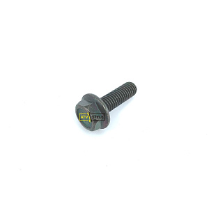 Болт M8х25 30006-080025840