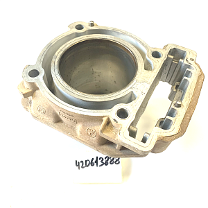 Цилиндр Can Am  650 / 500 б.у   420413211_б.у