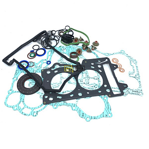 Комплект прокладок полный  Ski-Doo 600 ACE SM-09508F