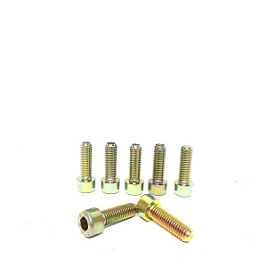 Болт М8х25 Can Am 205082544