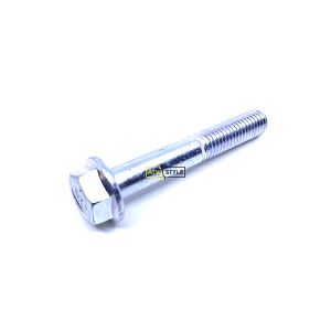 Болт М10 х65 Can Am 207606536