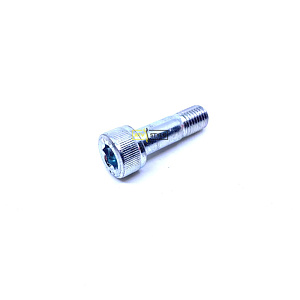 Болт 10X33 Kawasaki 92001-1901